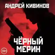 Постер книги Черный мерин