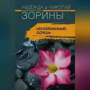 Постер книги Непойманный дождь