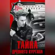 Постер книги Тайна древнего кургана