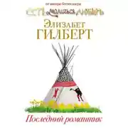 Постер книги Последний романтик