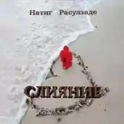 Постер книги Слияние