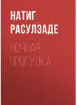 Натиг Расулзаде - Ночная прогулка