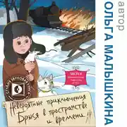Постер книги Книга 6. Брысь, или Приключения одного м.н.с