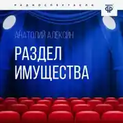Постер книги Раздел имущества