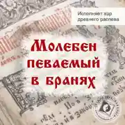 Постер книги Молебен певаемый в бранях