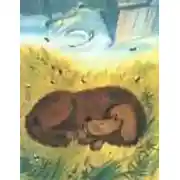 Постер книги Полкан