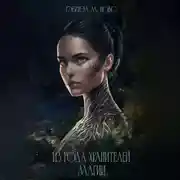 Постер книги Из рода Хранителей магии