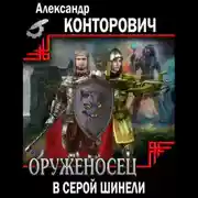 Постер книги Оруженосец в серой шинели