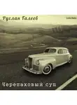 Руслан Галеев - Черепаховый суп