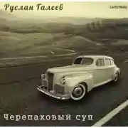 Постер книги Черепаховый суп
