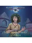Мария Заболотская - И.о. поместного чародея. Книга 1