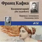 Постер книги Комментарий (не надейся!)