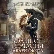Постер книги Большое несчастье Закари Фьюта