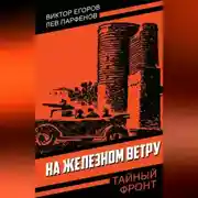 Постер книги На железном ветру