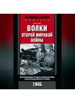 Ханс Тиль - Волки Второй мировой войны. Воспоминания солдата фольксштурма о Восточном фронте и плене. 1945