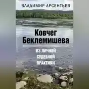 Постер книги Ковчег Беклемишева. Из личной судебной практики