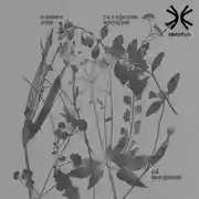 Постер книги Сад против времени. В поисках рая для всех