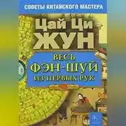 Постер книги Весь фэн-шуй из первых рук. Советы китайского мастера