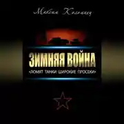 Постер книги Зимняя война: «Ломят танки широкие просеки»
