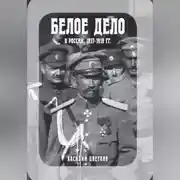 Постер книги Белое дело в России: 1917-1919 гг.