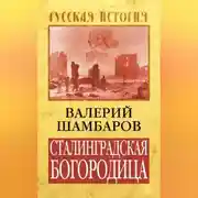 Постер книги Сталинградская Богородица