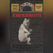 Постер книги Истоки медвежьей Руси