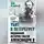 Виталий Раул - Убит в Петербурге. Подлинная история гибели Александра II