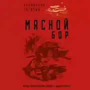 Постер книги Мясной Бор