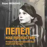 Постер книги Пепел над пропастью. Феномен Концентрационного мира нацистской Германии и его отражение в социокультурном пространстве Европы середины – второй половины ХХ столетия