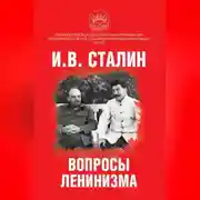 Постер книги Вопросы ленинизма