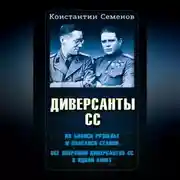 Постер книги Диверсанты СС
