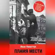 Постер книги Пламя мести