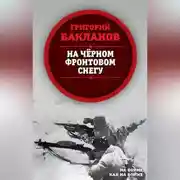 Постер книги На черном фронтовом снегу