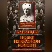 Постер книги Лабинцы. Побег из красной России