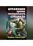 Сергей Михеенков - Штрафники против гитлеровского спецназа. Операция «Черный туман»