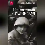 Постер книги Неизвестный Сталинград