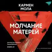 Постер книги Молчание матерей