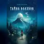 Постер книги Тайна волхвов