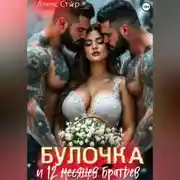 Постер книги Булочка и 12 (месяцев) братьев