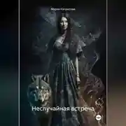 Постер книги Неслучайная встреча