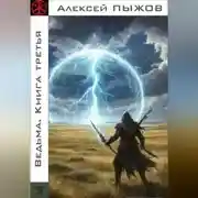 Постер книги Ведьма. Книга третья