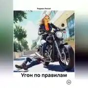 Постер книги Угон по правилам