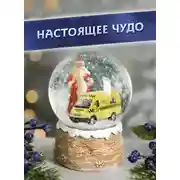 Постер книги Настоящее чудо