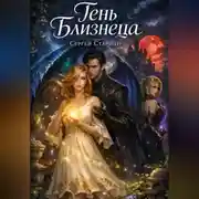 Постер книги Тень близнеца