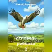 Постер книги Исповедь ребёнка 2