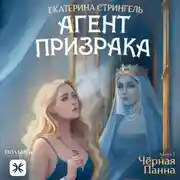 Постер книги Агент призрака. Книга 2. Черная Панна