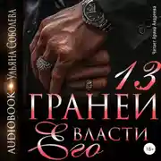 Постер книги 13 граней его власти