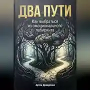 Постер книги Два пути: Как выбраться из эмоционального лабиринта