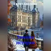 Постер книги Зимние истории.