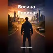 Постер книги Босина Родина